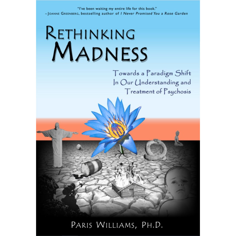 Rethinking Madness (book)